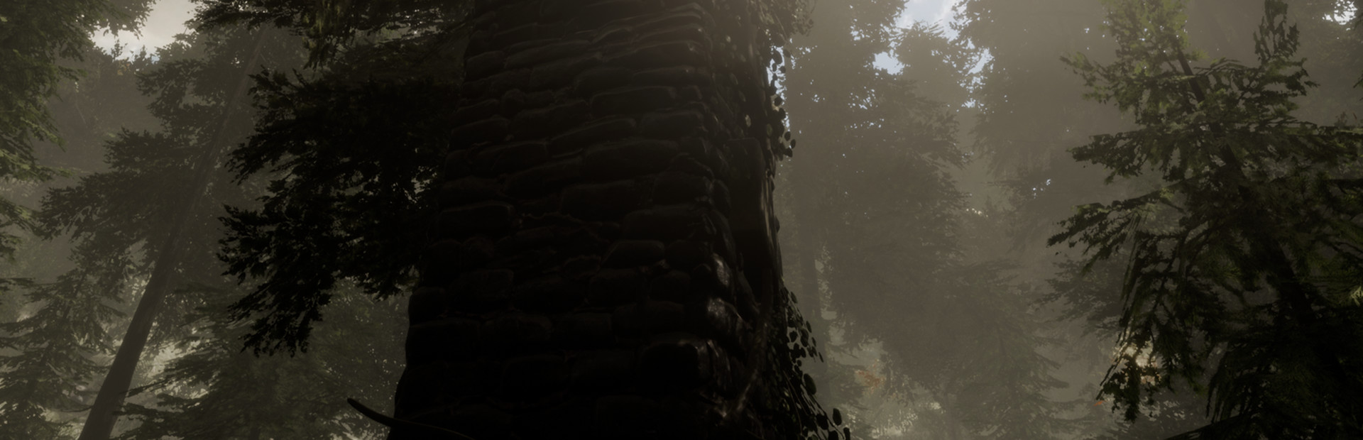 The Woods: VR Escape the Room cover art