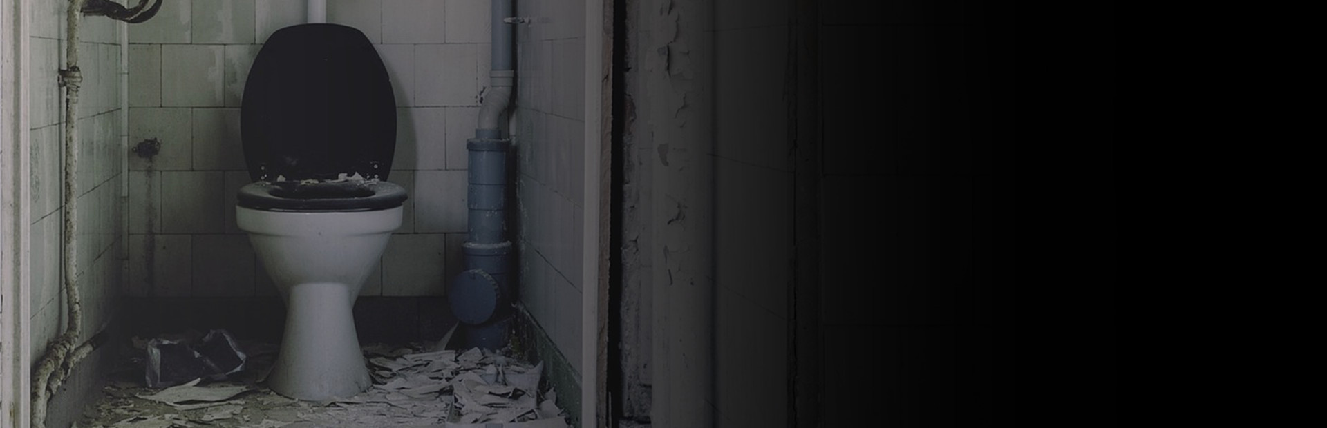 Toilet Tycoon cover art