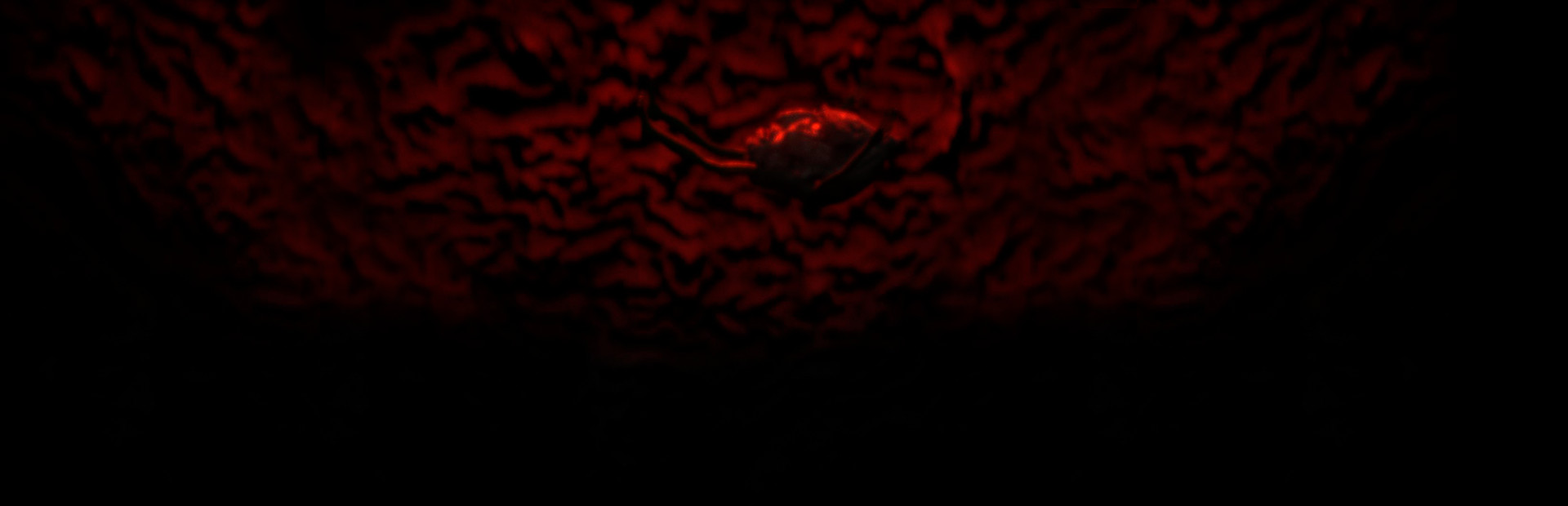 Tomato Way 2 cover art