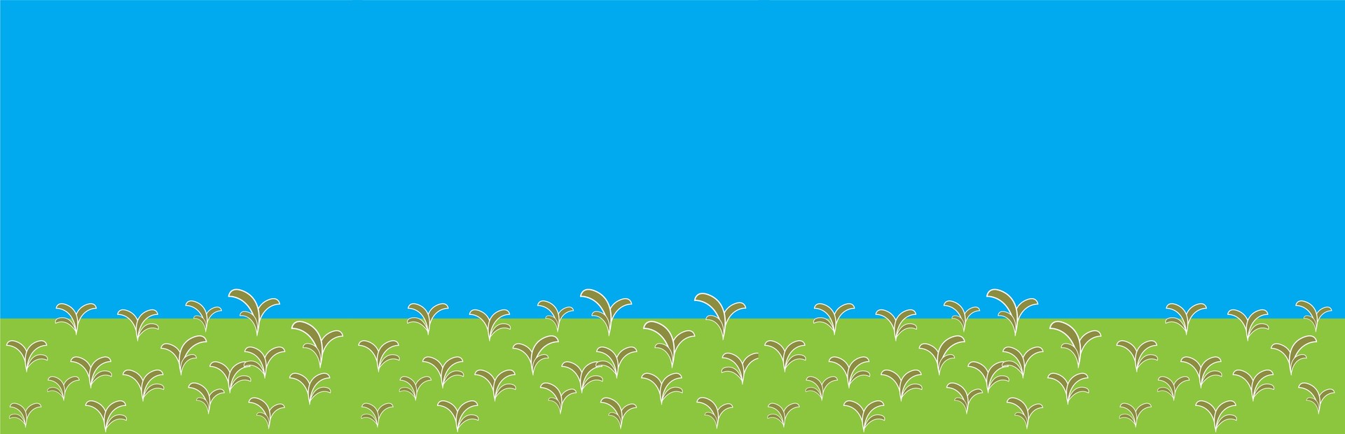 Traveler Bird cover art