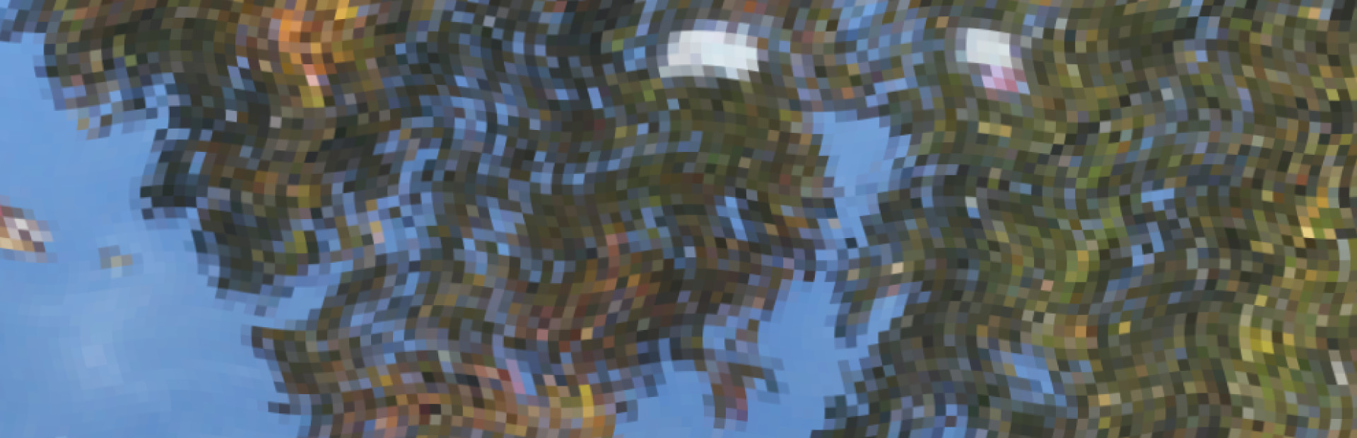 Tree Trunk Brook cover art
