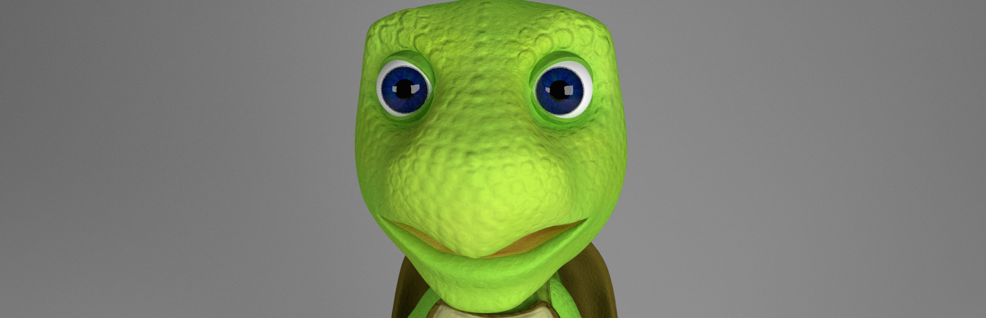 Turtle Rush cover art