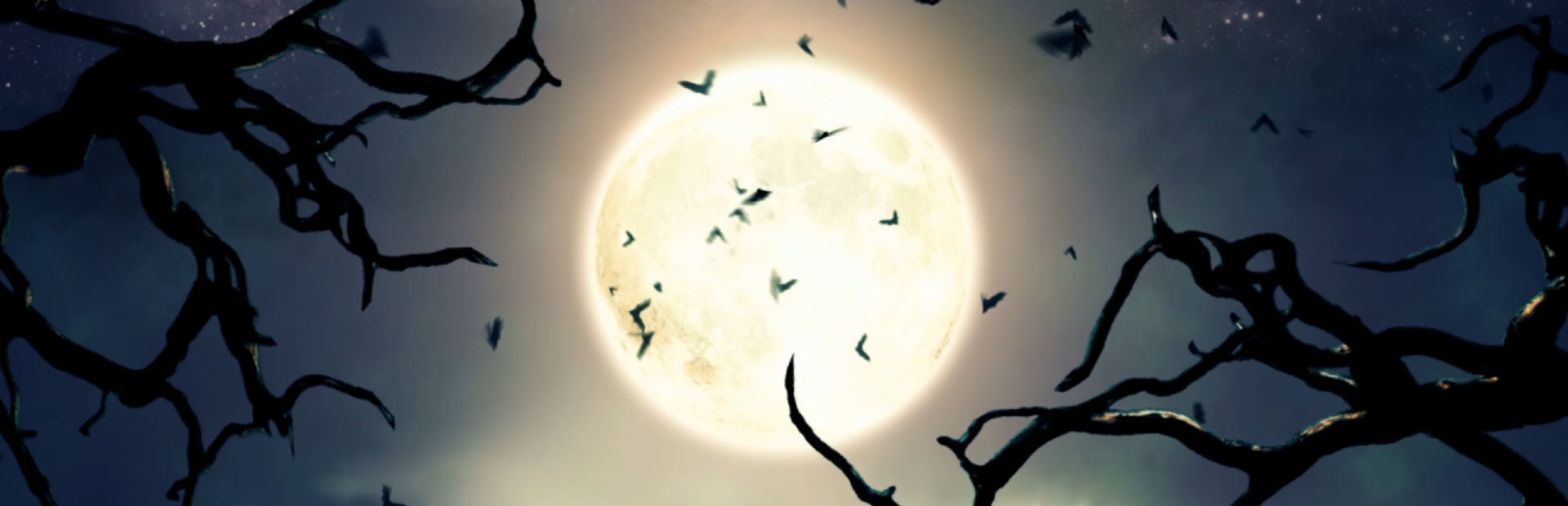 Vampires Dawn 3 cover art