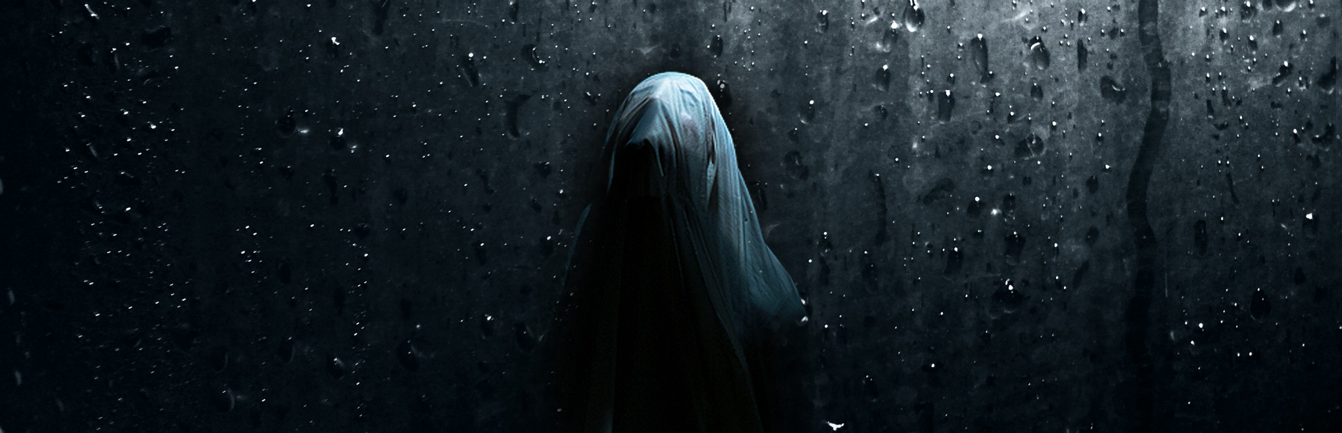 Visage PC cover art