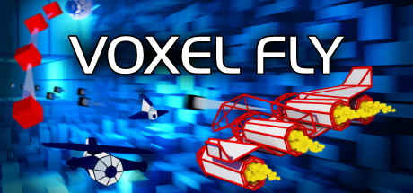 Voxel Fly cover art