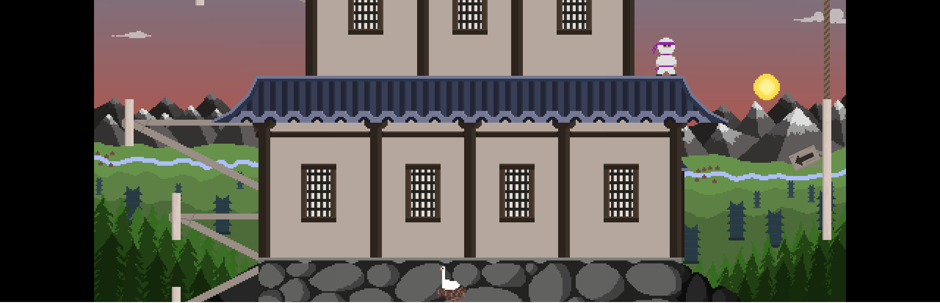 Wall Ninja cover art
