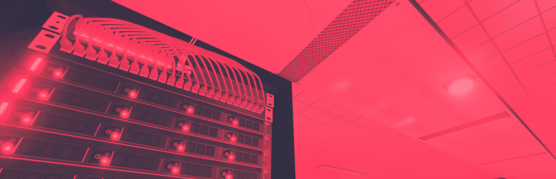 Web Host Simulator cover art