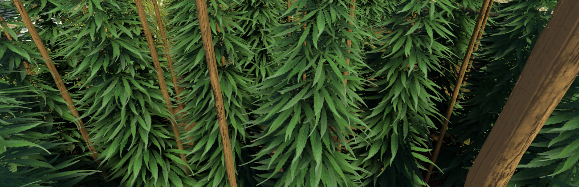 Weed Farmer Simulator cover art