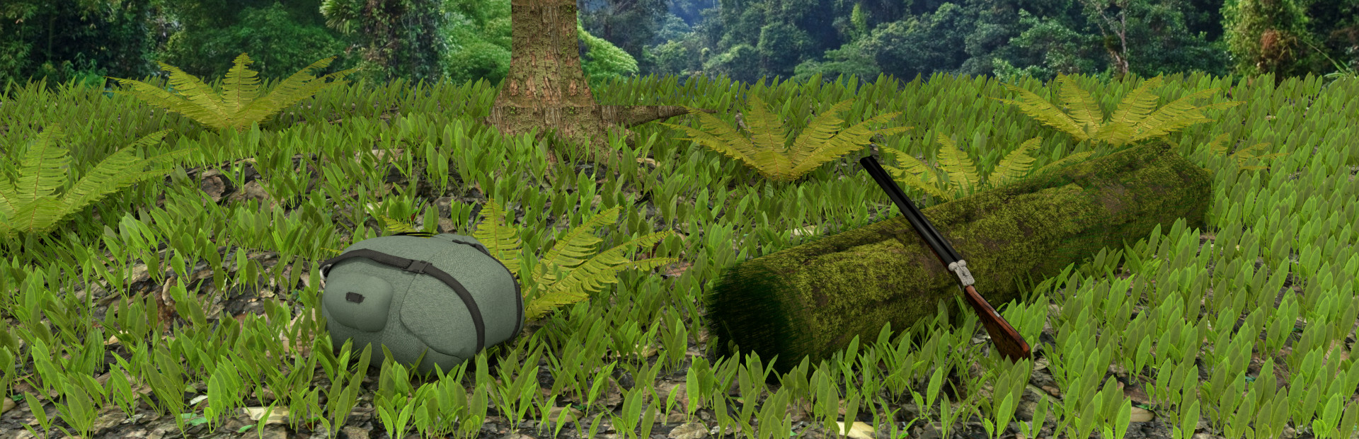 Wild Island Quest cover art