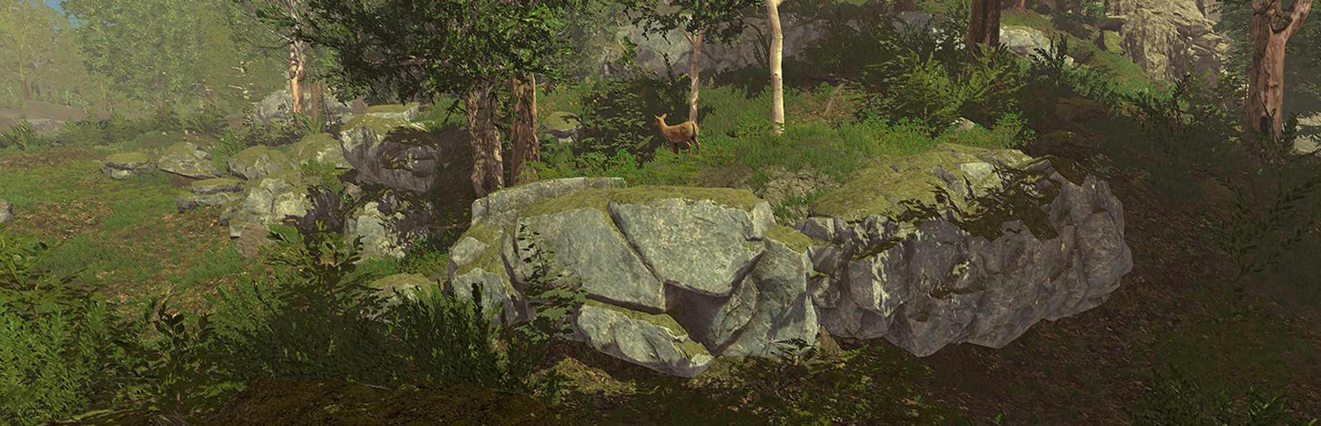 Wilderness cover art