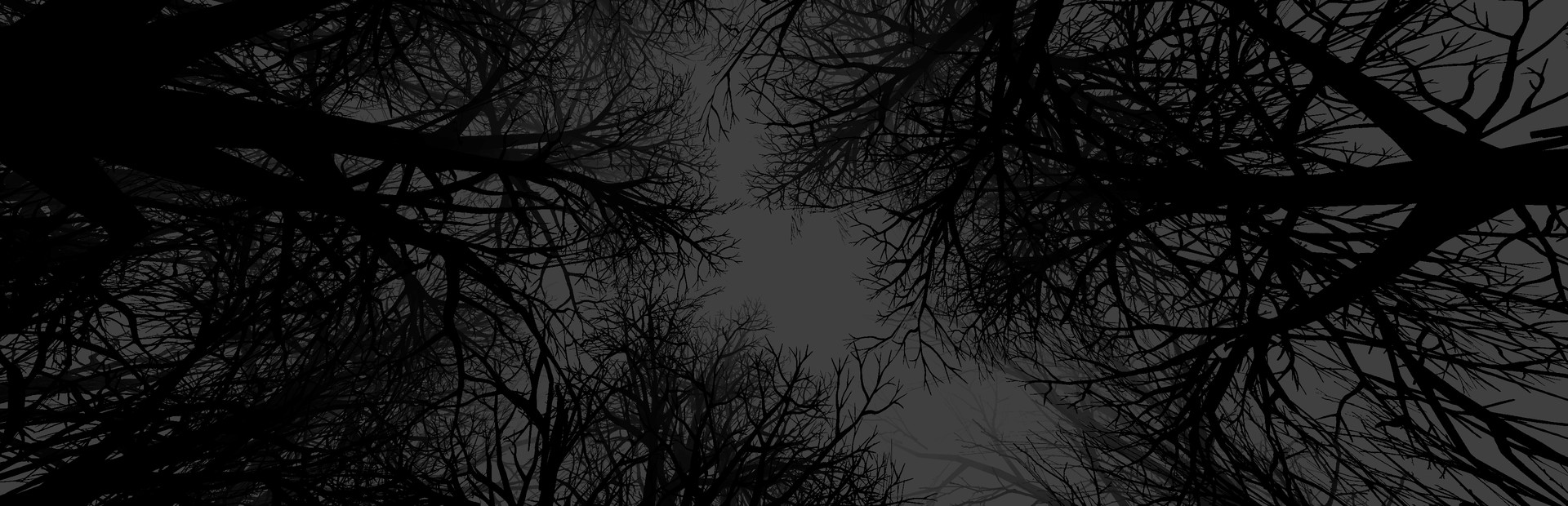 Witch Hunt cover art