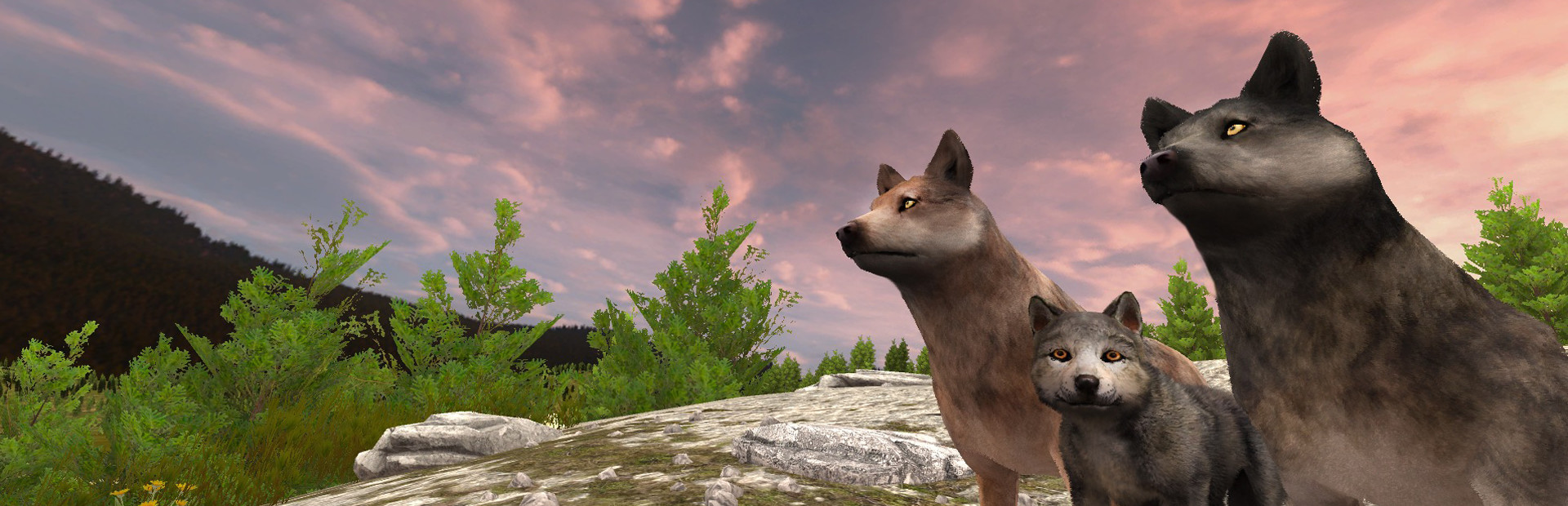 WolfQuest: Classic cover art