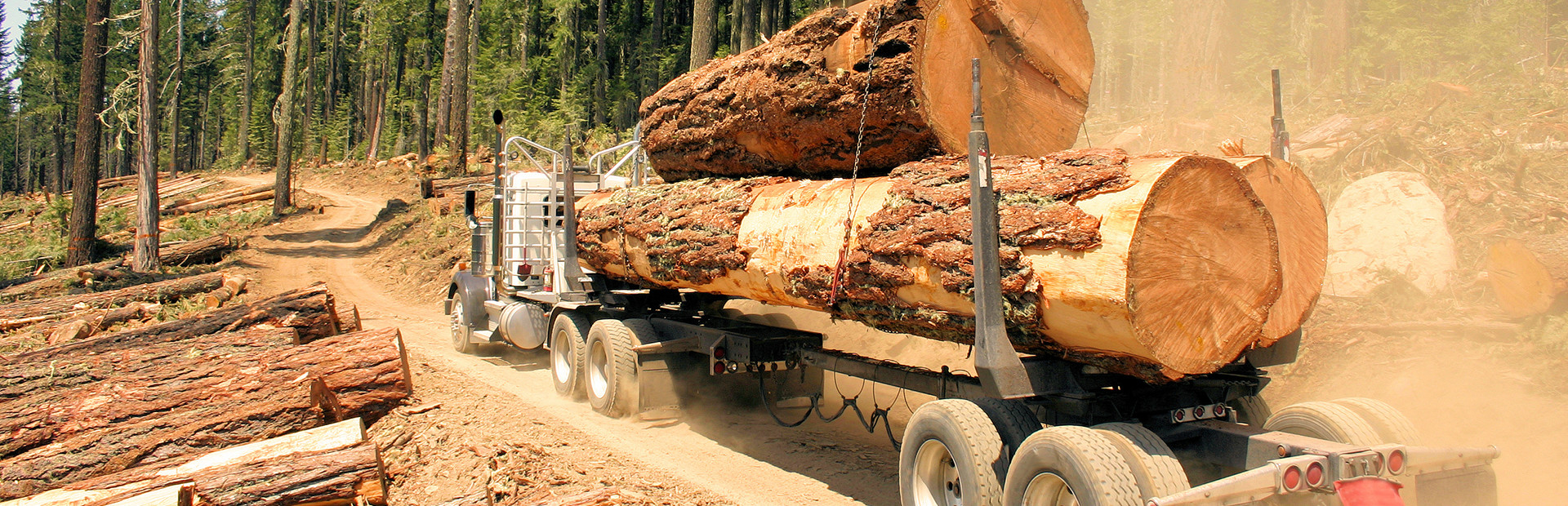 Woodcutter Simulator 2013 cover art