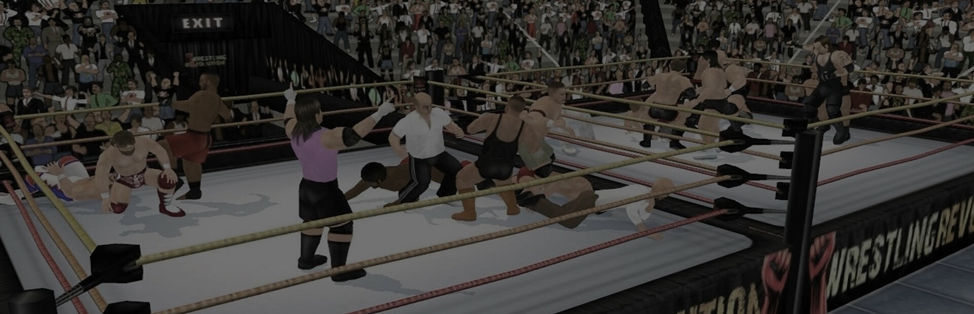 Wrestling Revolution 3D cover art