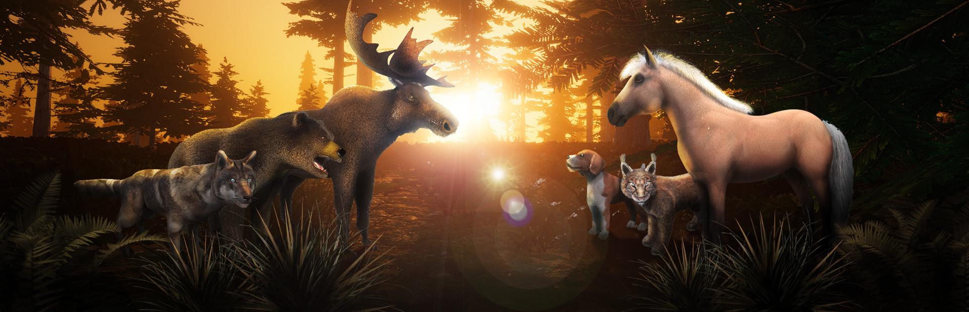 Zoo World VR cover art