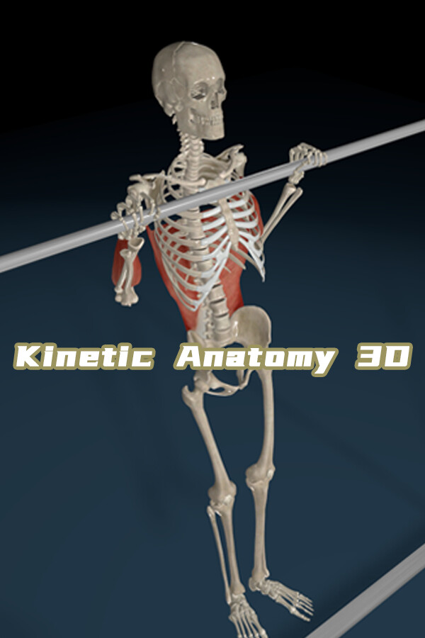 Kinetic Anatomy 3D