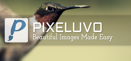 Pixeluvo cover art